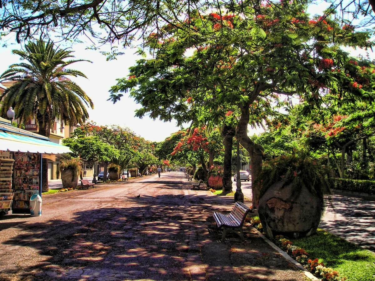 Flores & Campos Guest House Santa Cruz de Tenerife Kültér fotó